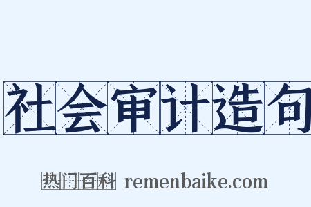 社会审计造句是什么意思的图片